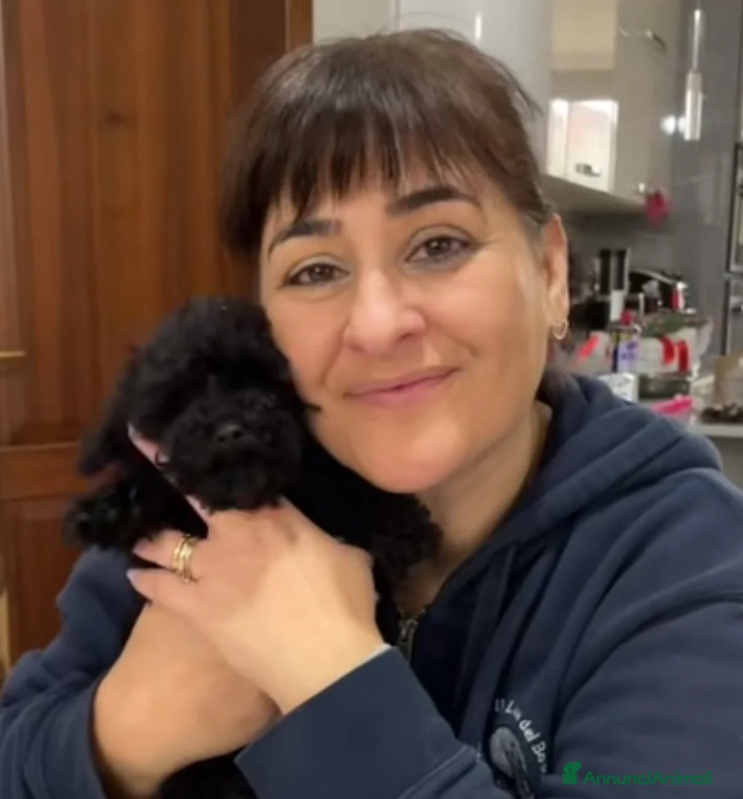 Immagine della galleria {{count}}