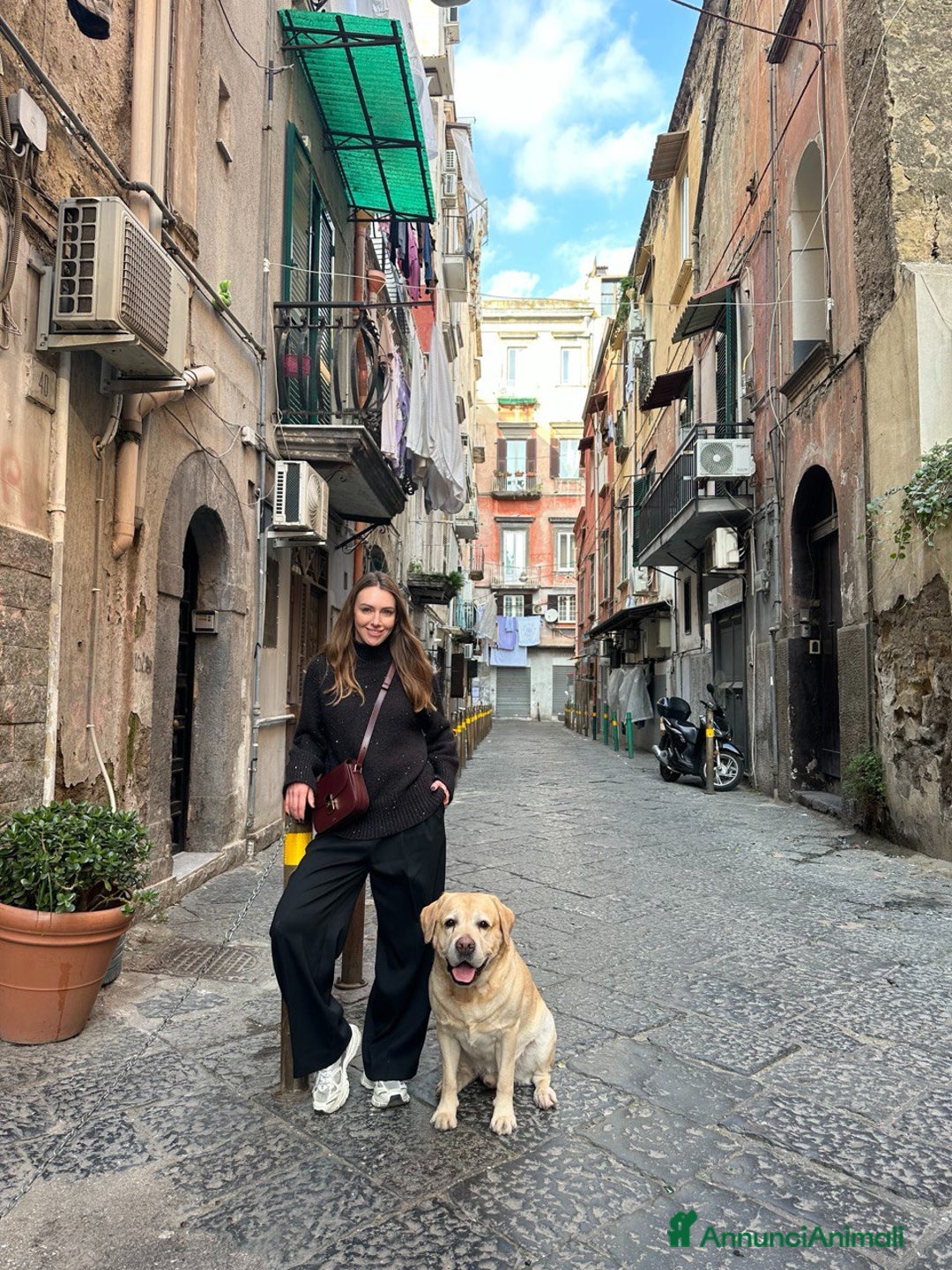 Immagine della galleria {{count}}