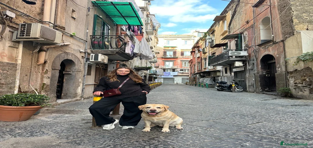 Immagine della galleria {{count}}