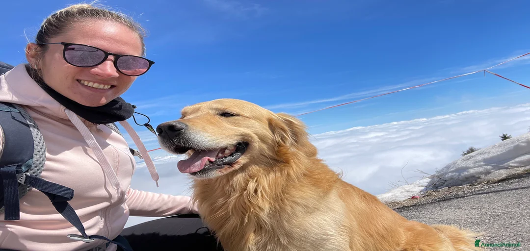 Immagine della galleria {{count}}