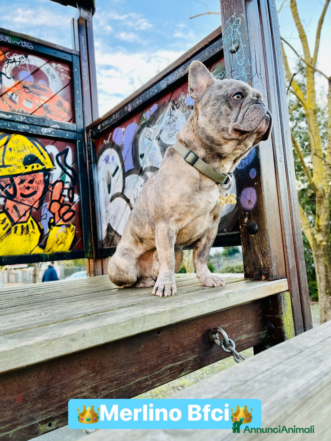 Immagine della galleria {{count}}