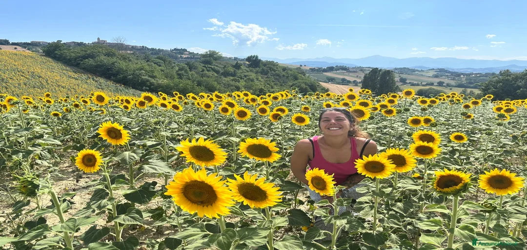 Immagine della galleria {{count}}