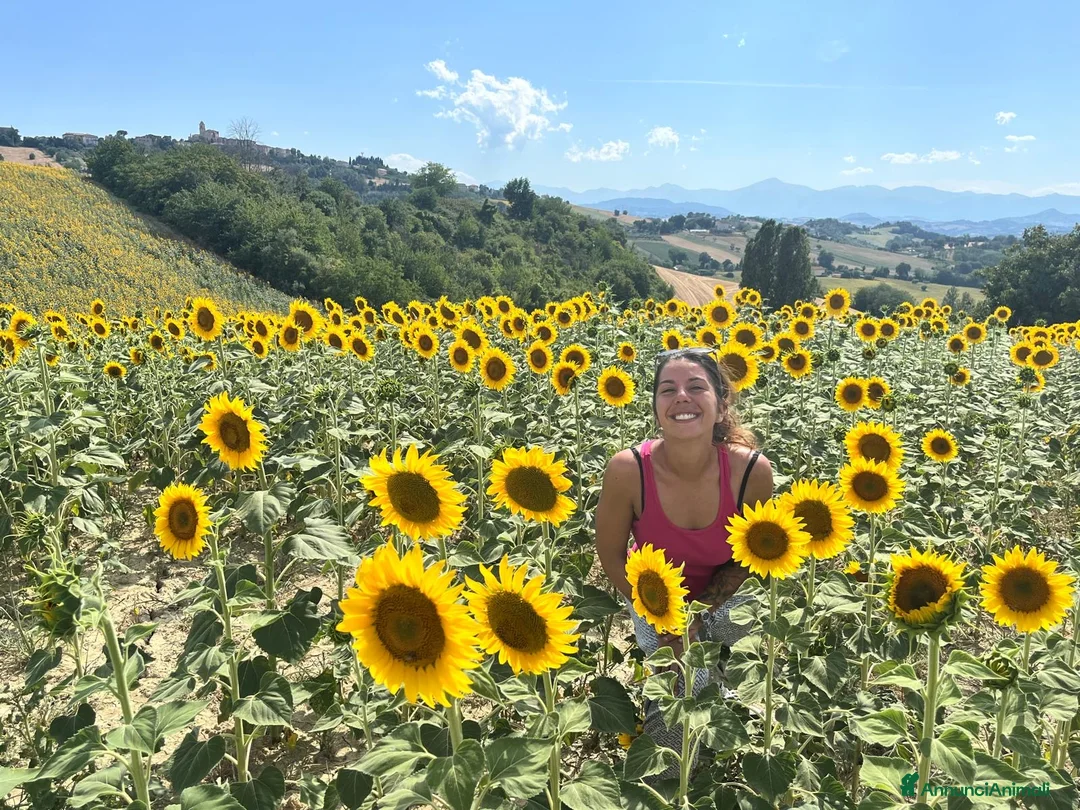 Immagine della galleria {{count}}