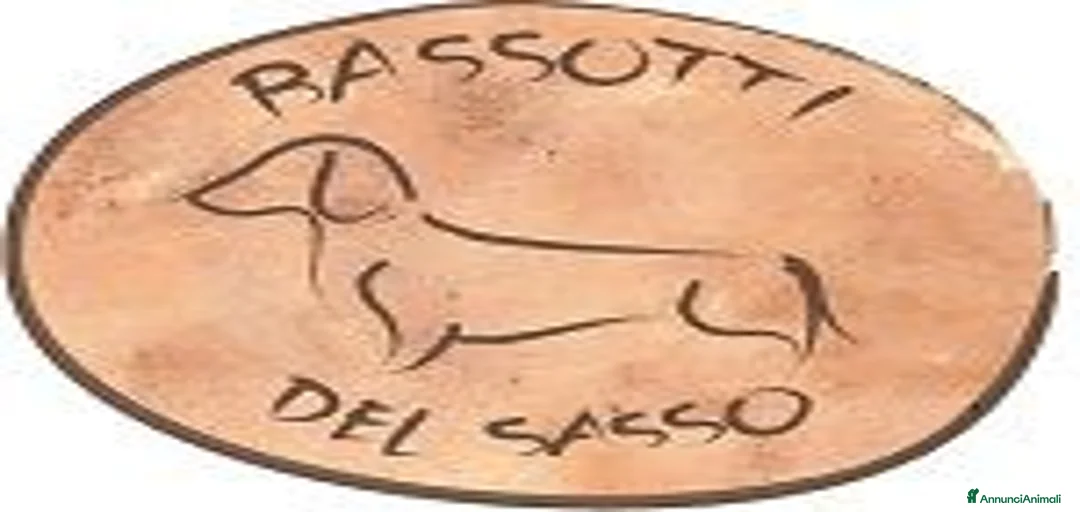 Immagine della galleria {{count}}