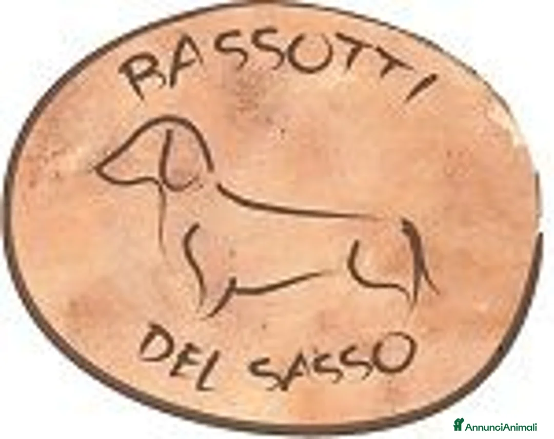Immagine della galleria {{count}}