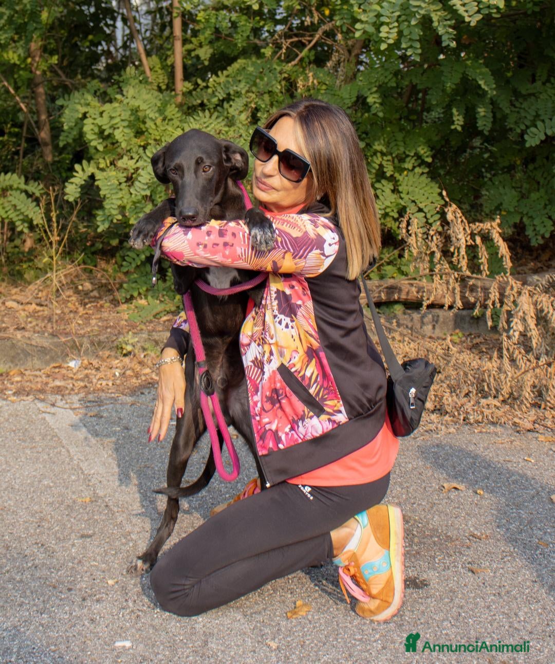 Altre razze cani in regalo: piccolo - Annuncio 2