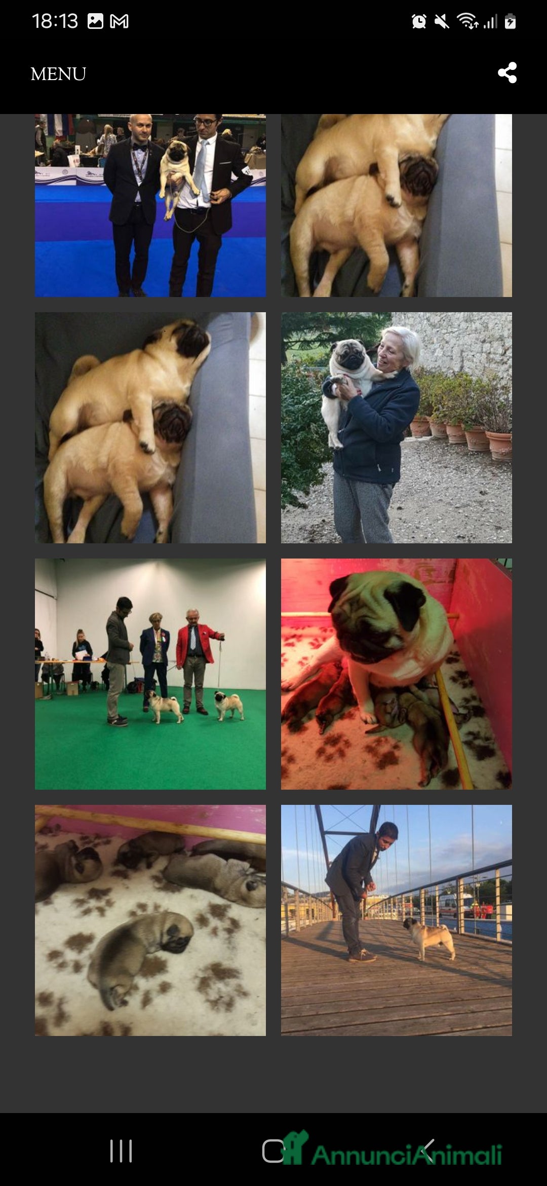 Immagine della galleria {{count}}