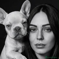 Foto del profilo pubblico di Dea Pet Privè