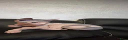 Sphynx gatti in vendita: Cucciolo cerca famiglia - Annuncio 1