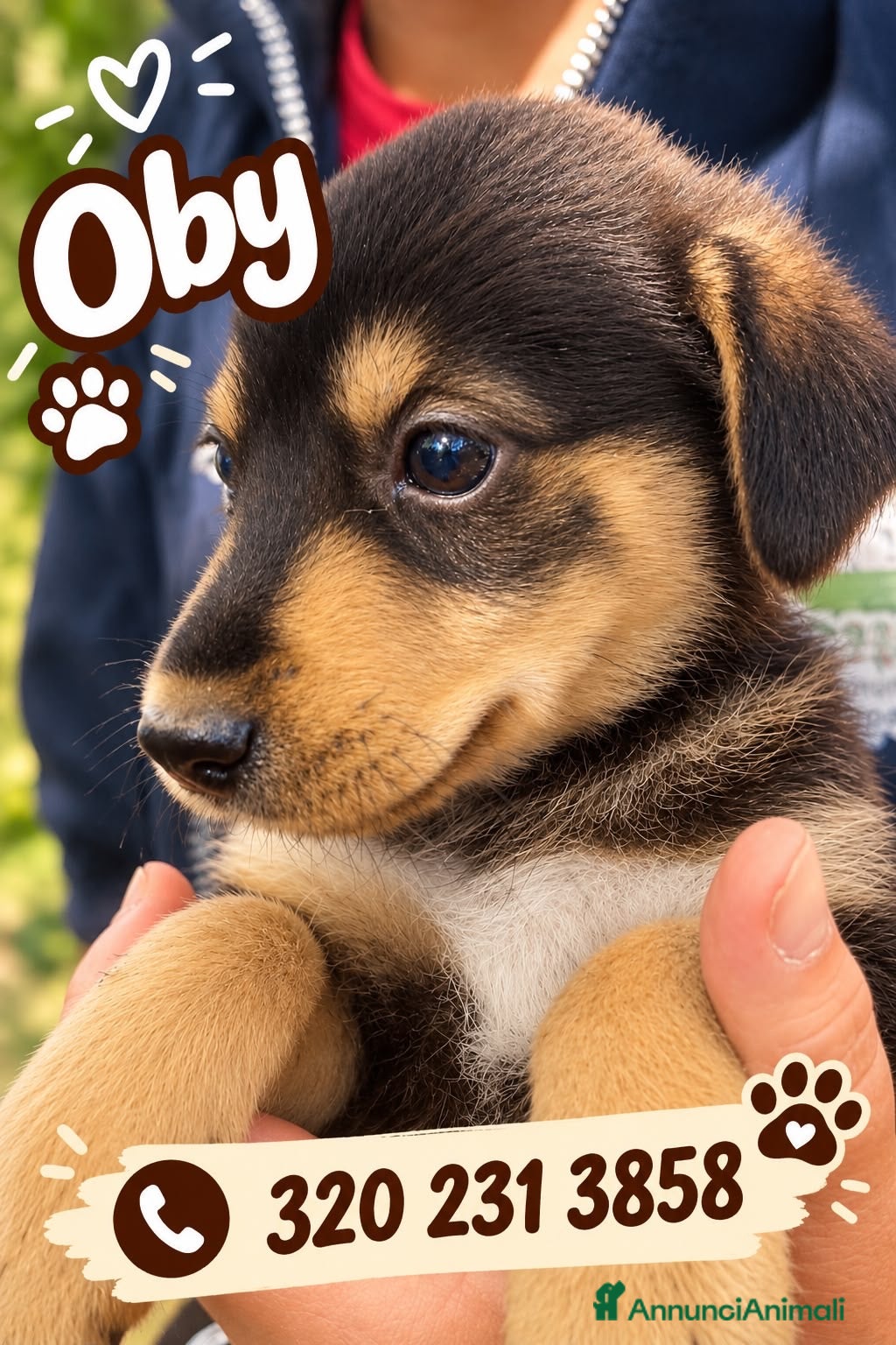 Meticcio cani OBY 💙 UN PICCOLO TESORO TUTTO DA SCOPRIRE - Annuncio 19