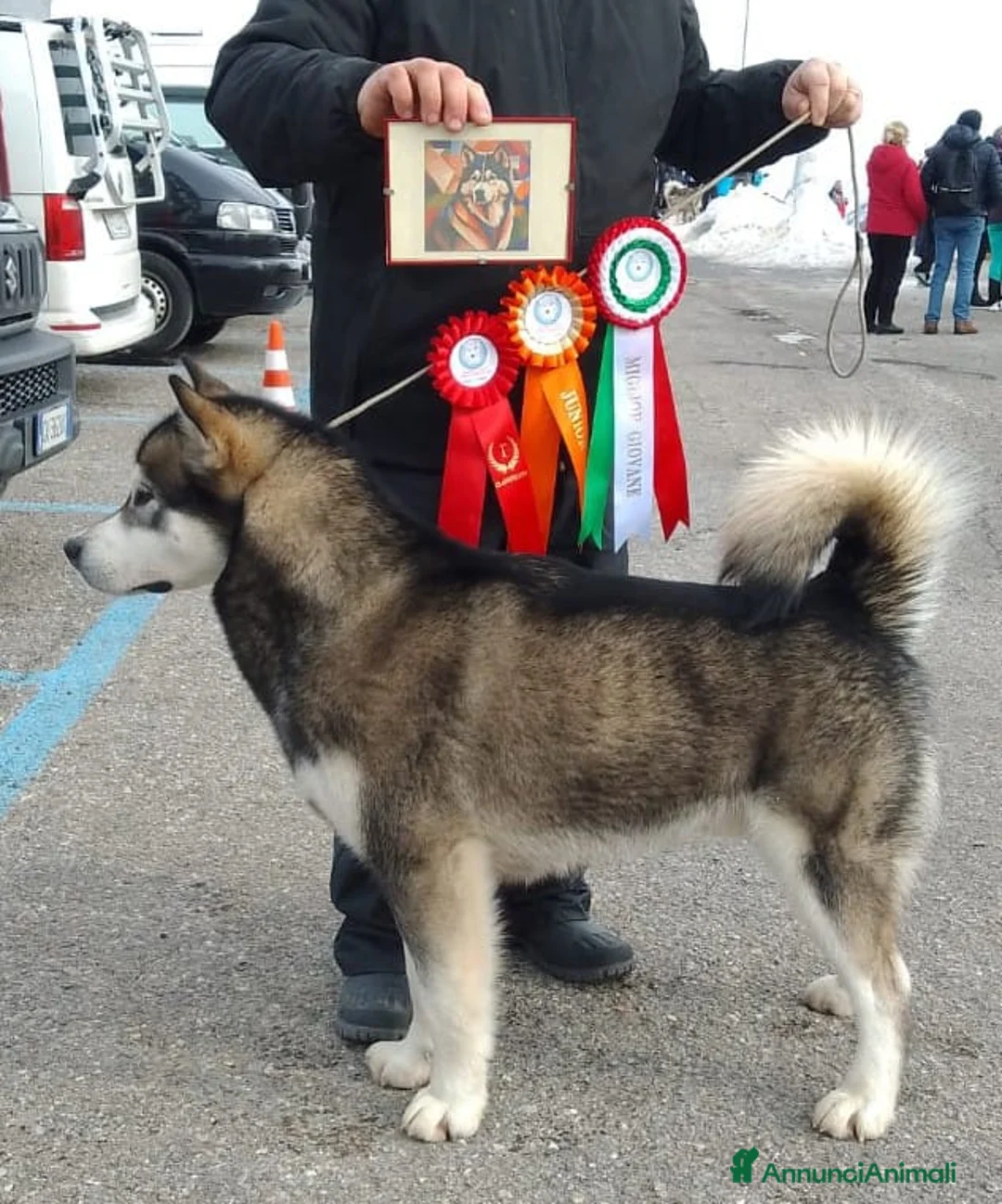 Immagine della galleria {{count}}