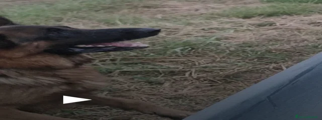 Haku