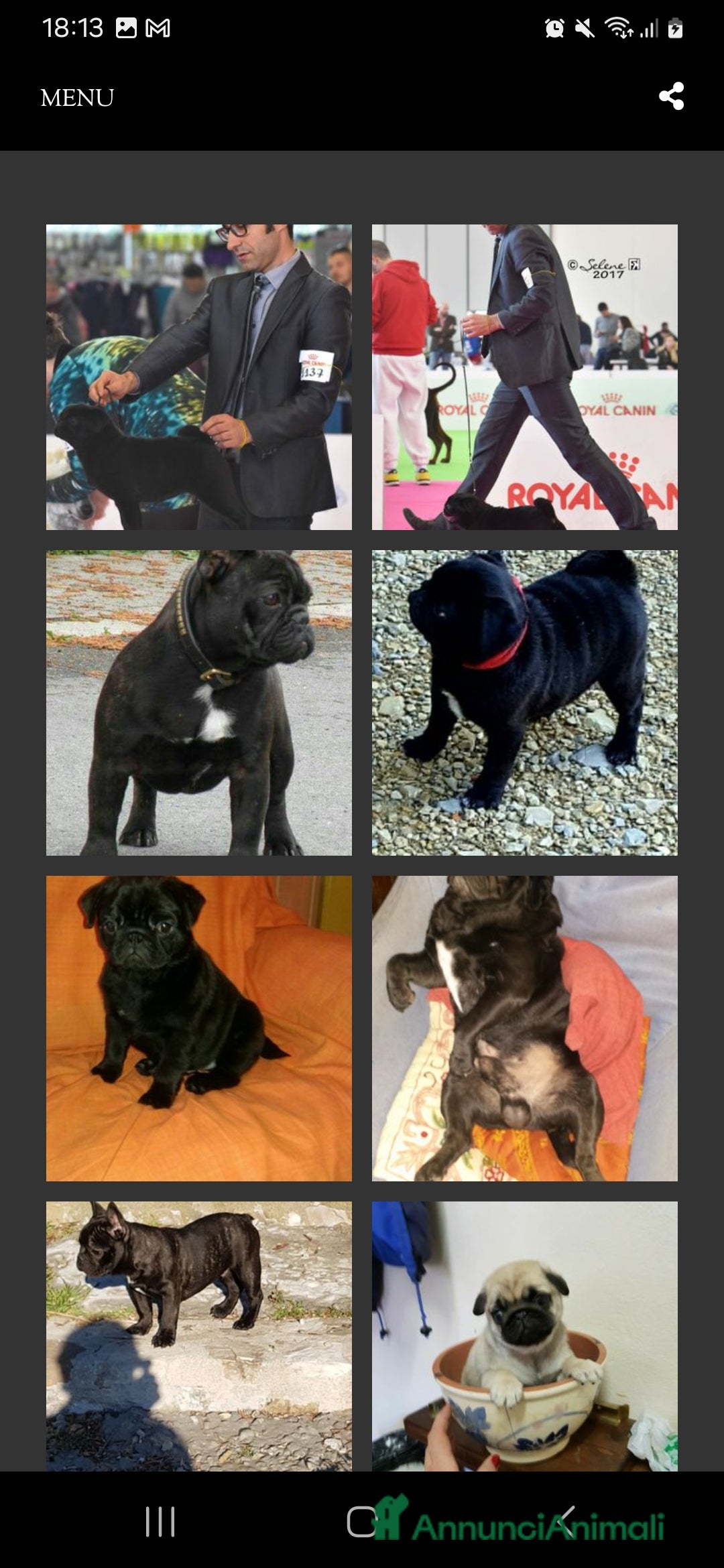 Immagine della galleria {{count}}