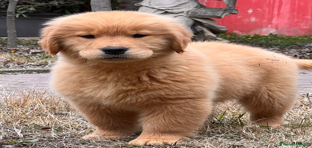 Immagine della galleria {{count}}