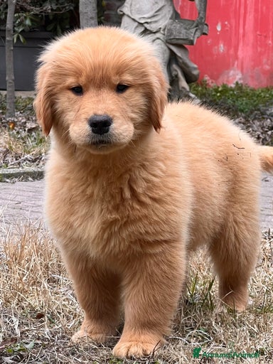 Immagine della galleria {{count}}