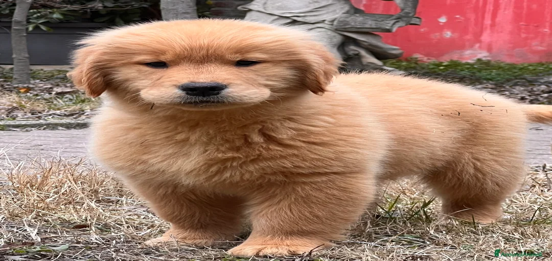 Immagine della galleria {{count}}