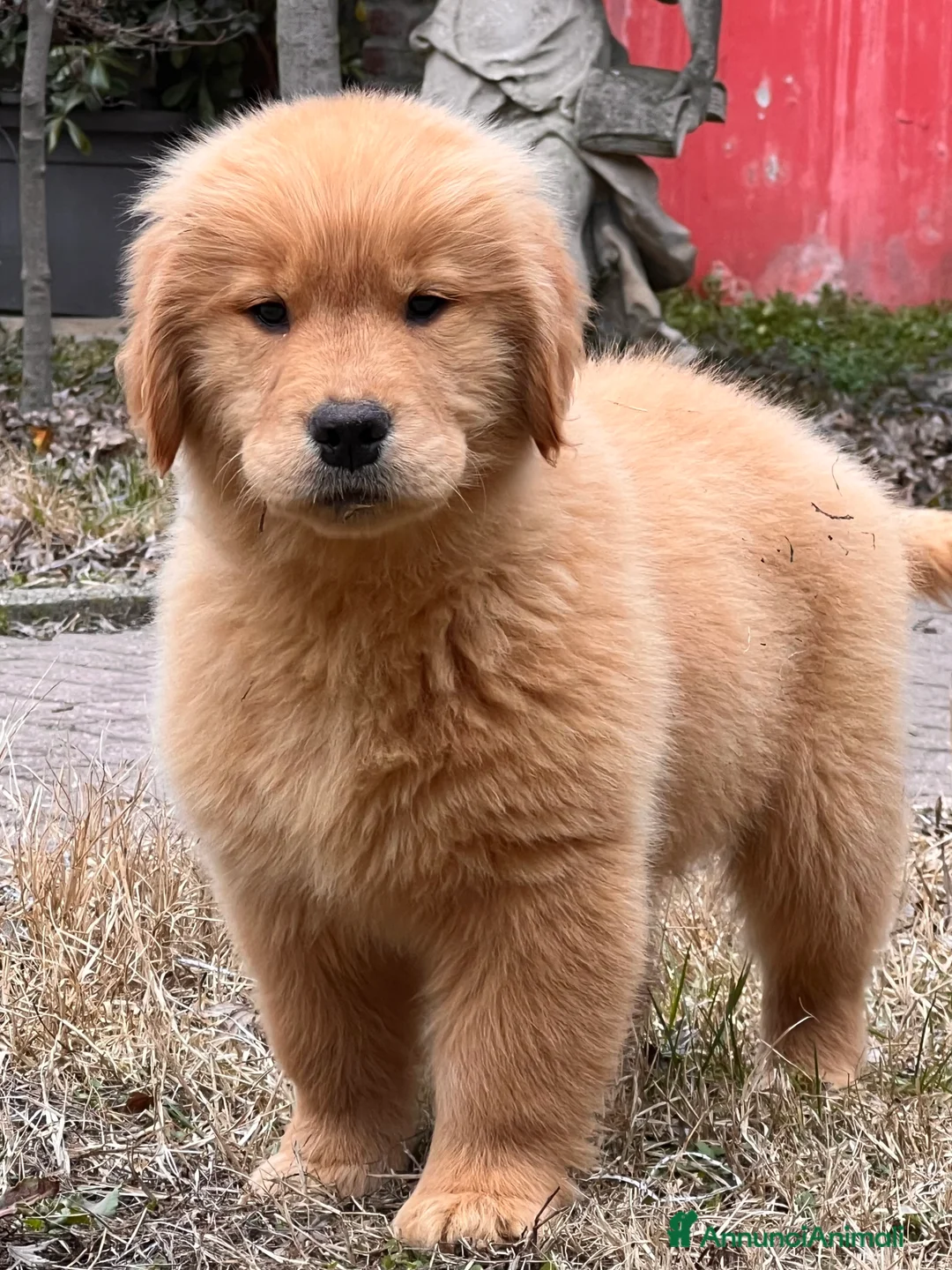 Immagine della galleria {{count}}