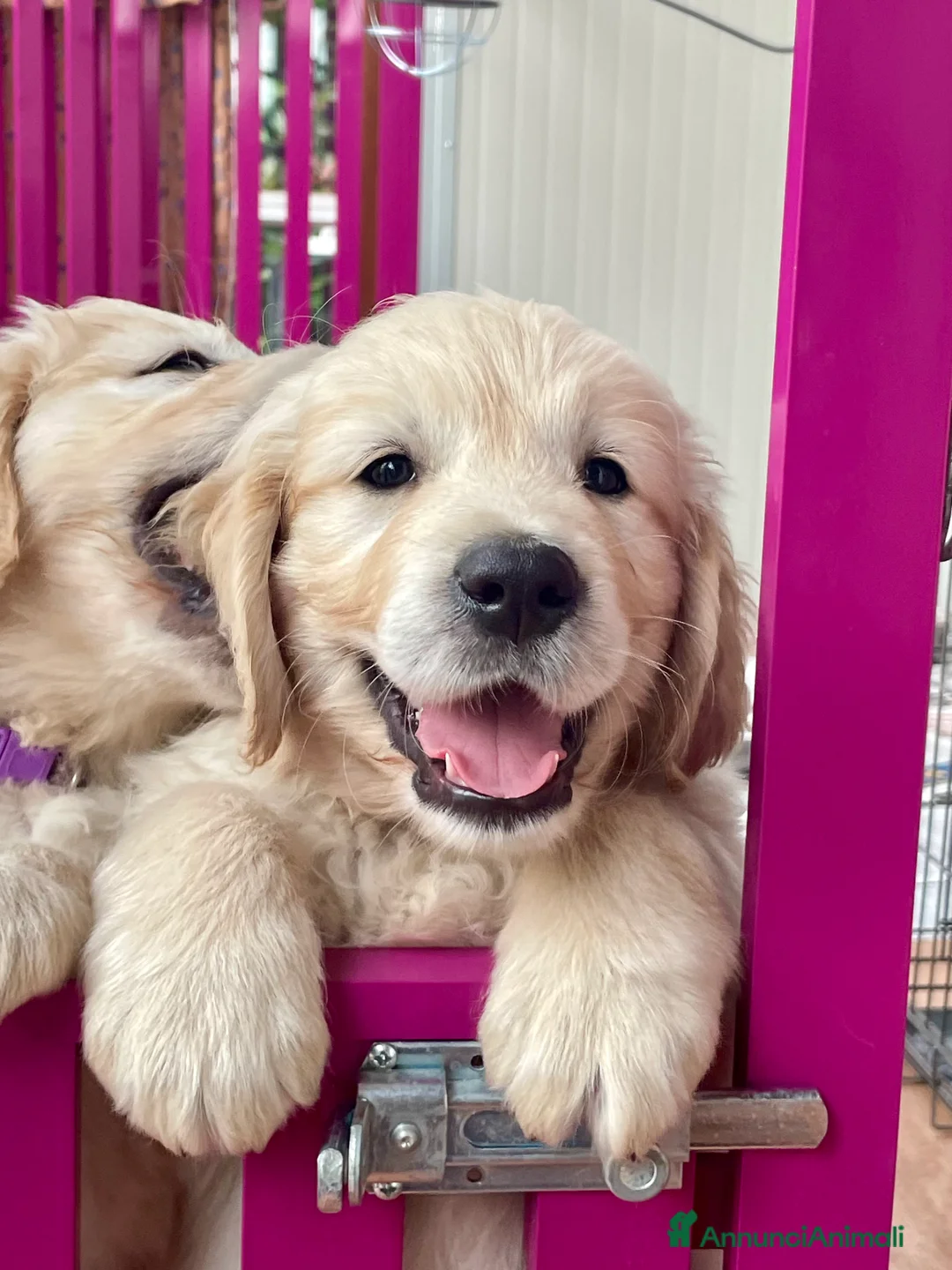 Immagine della galleria {{count}}