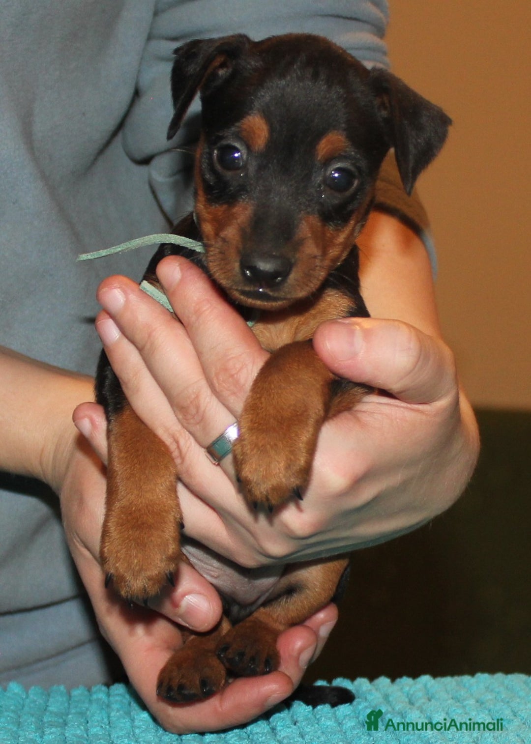 Immagine della galleria {{count}}