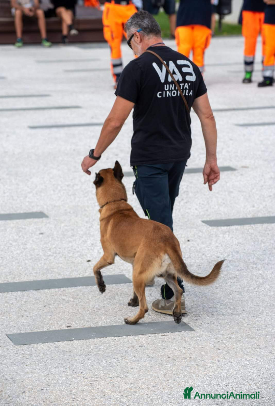 Immagine della galleria {{count}}