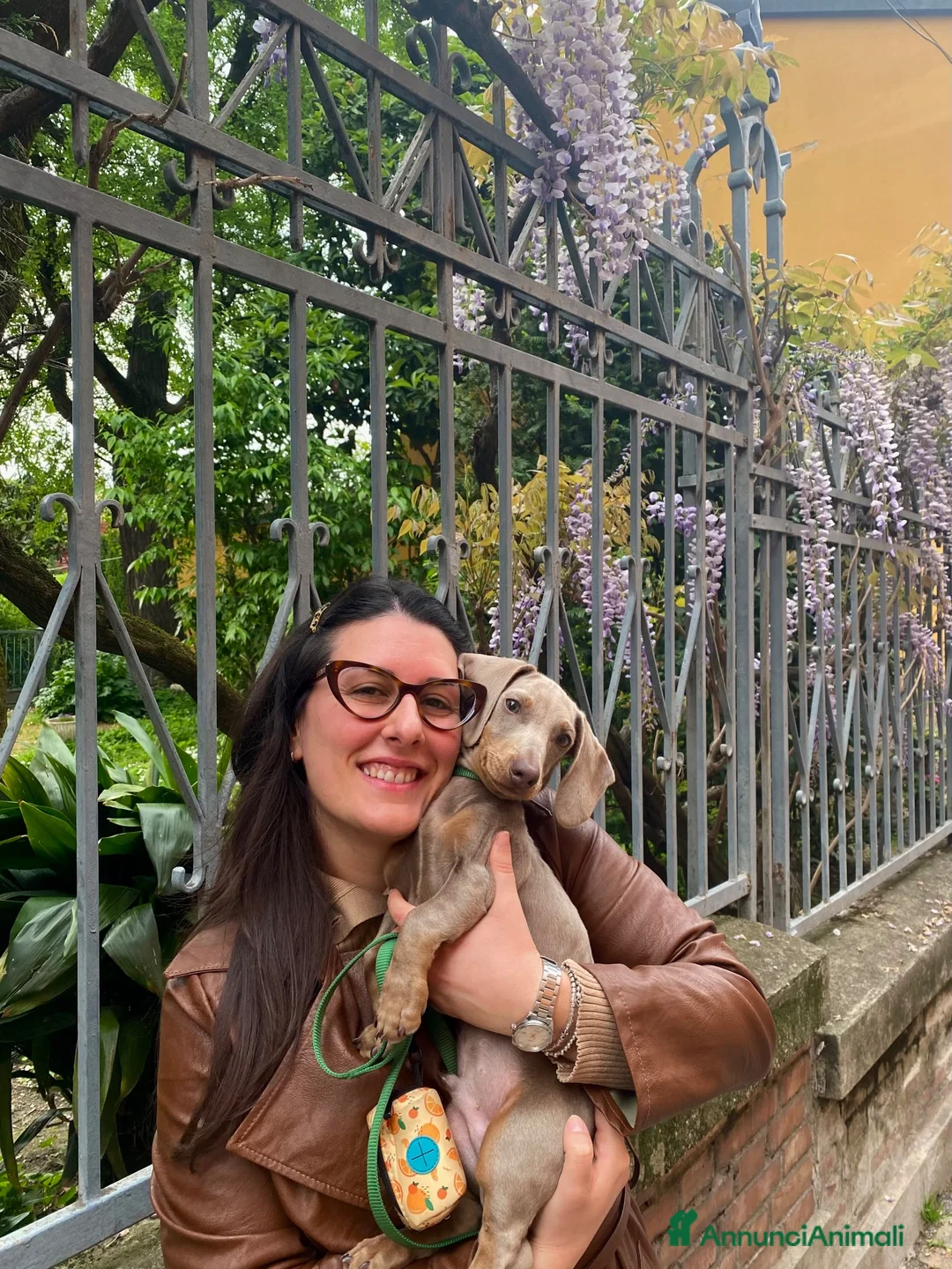 Immagine della galleria {{count}}