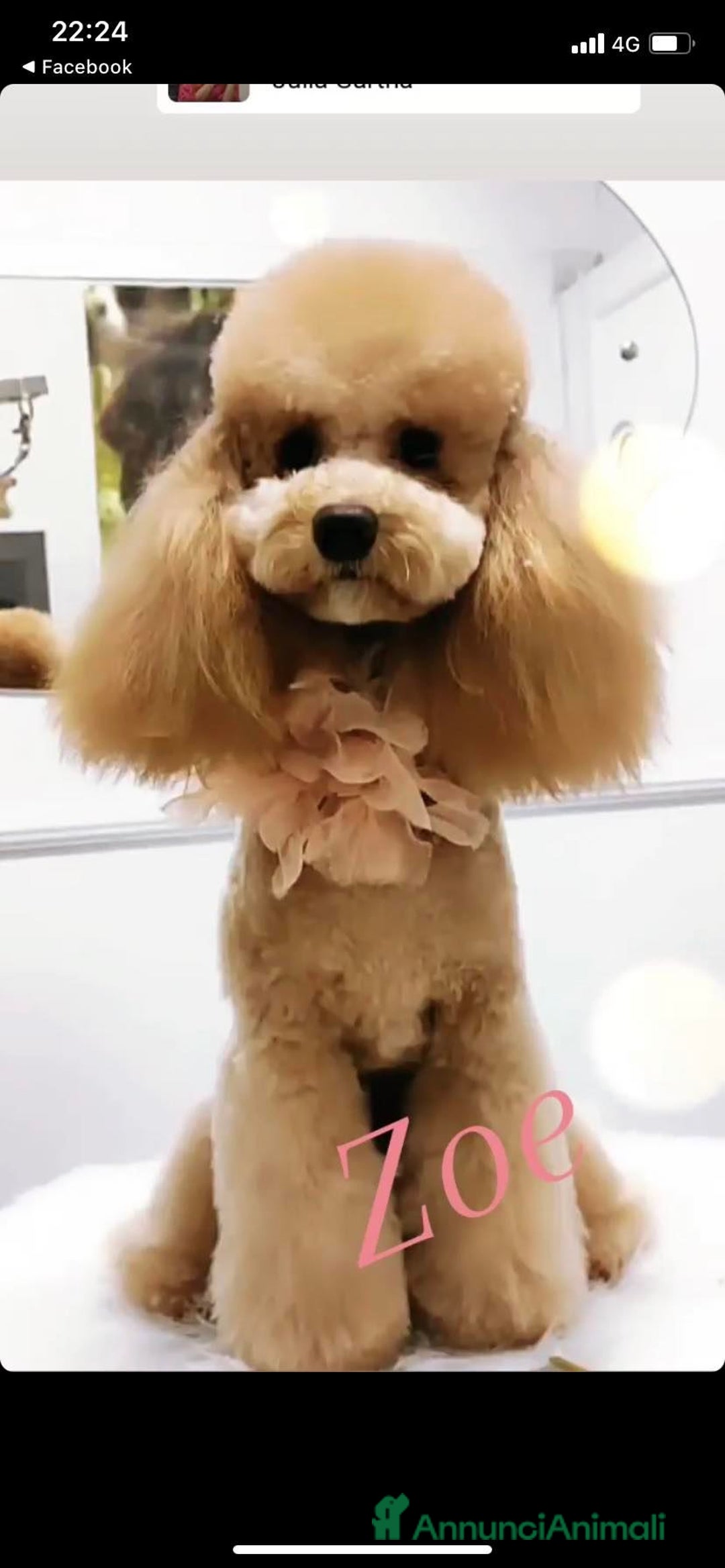 Immagine della galleria {{count}}