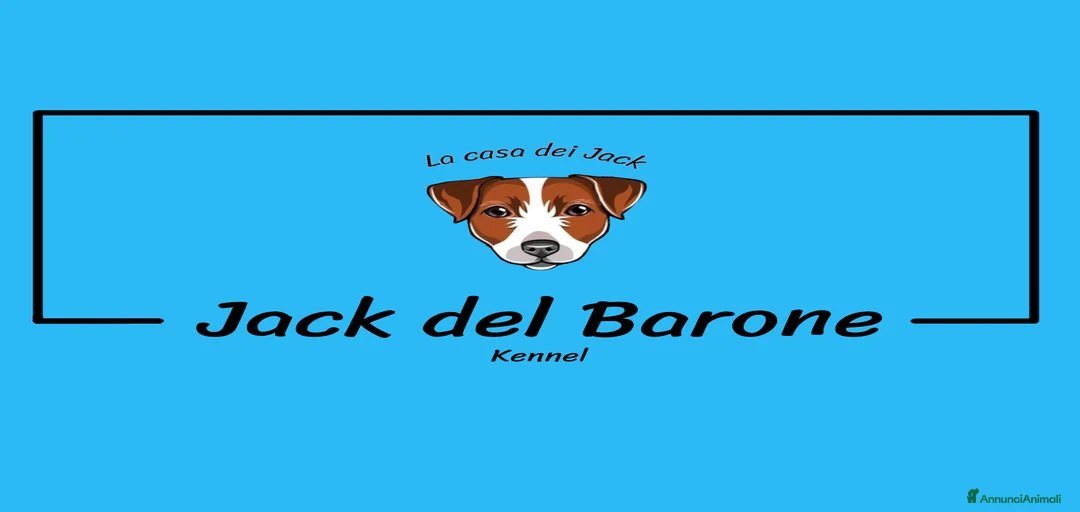 Immagine della galleria {{count}}