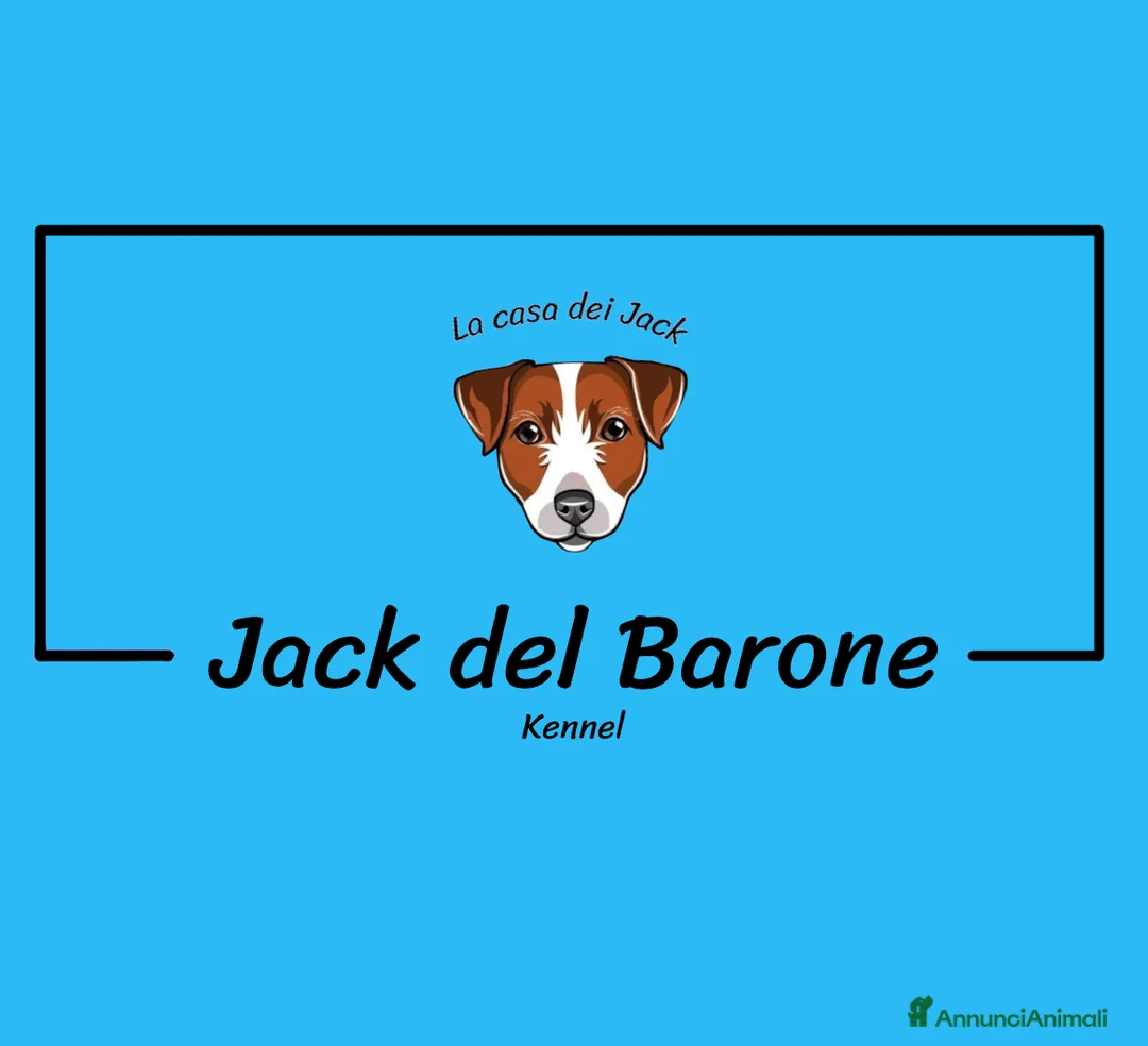 Immagine della galleria {{count}}