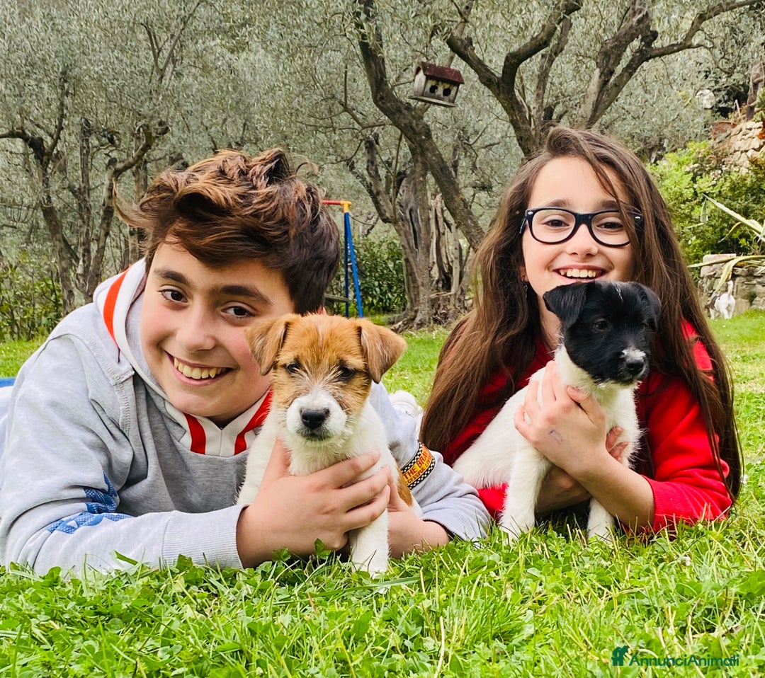 Immagine della galleria {{count}}