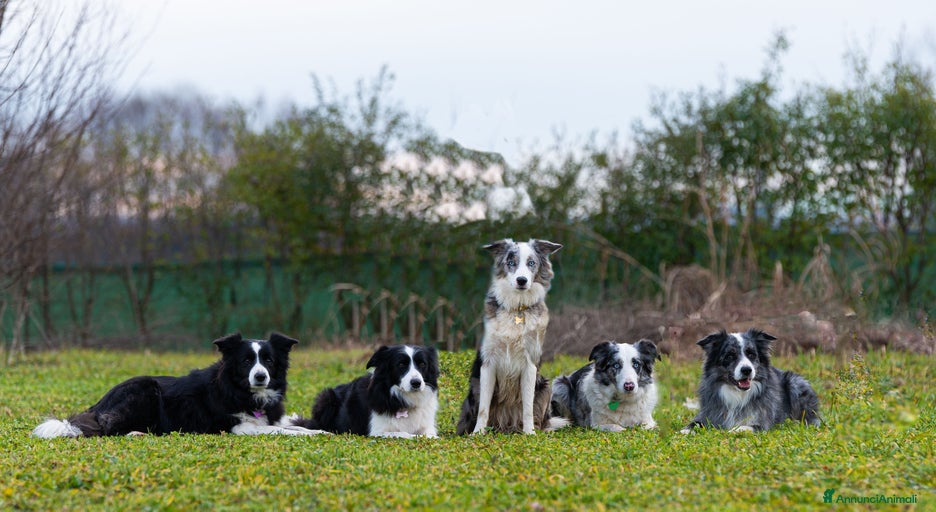 Immagine della galleria {{count}}