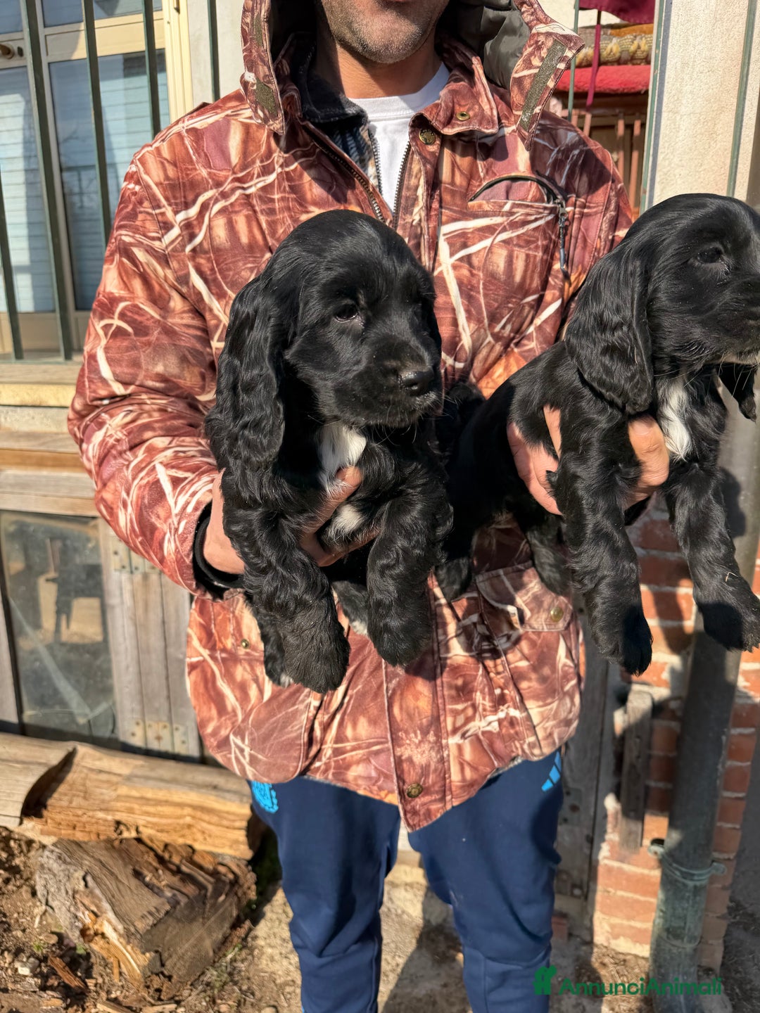 Immagine della galleria {{count}}