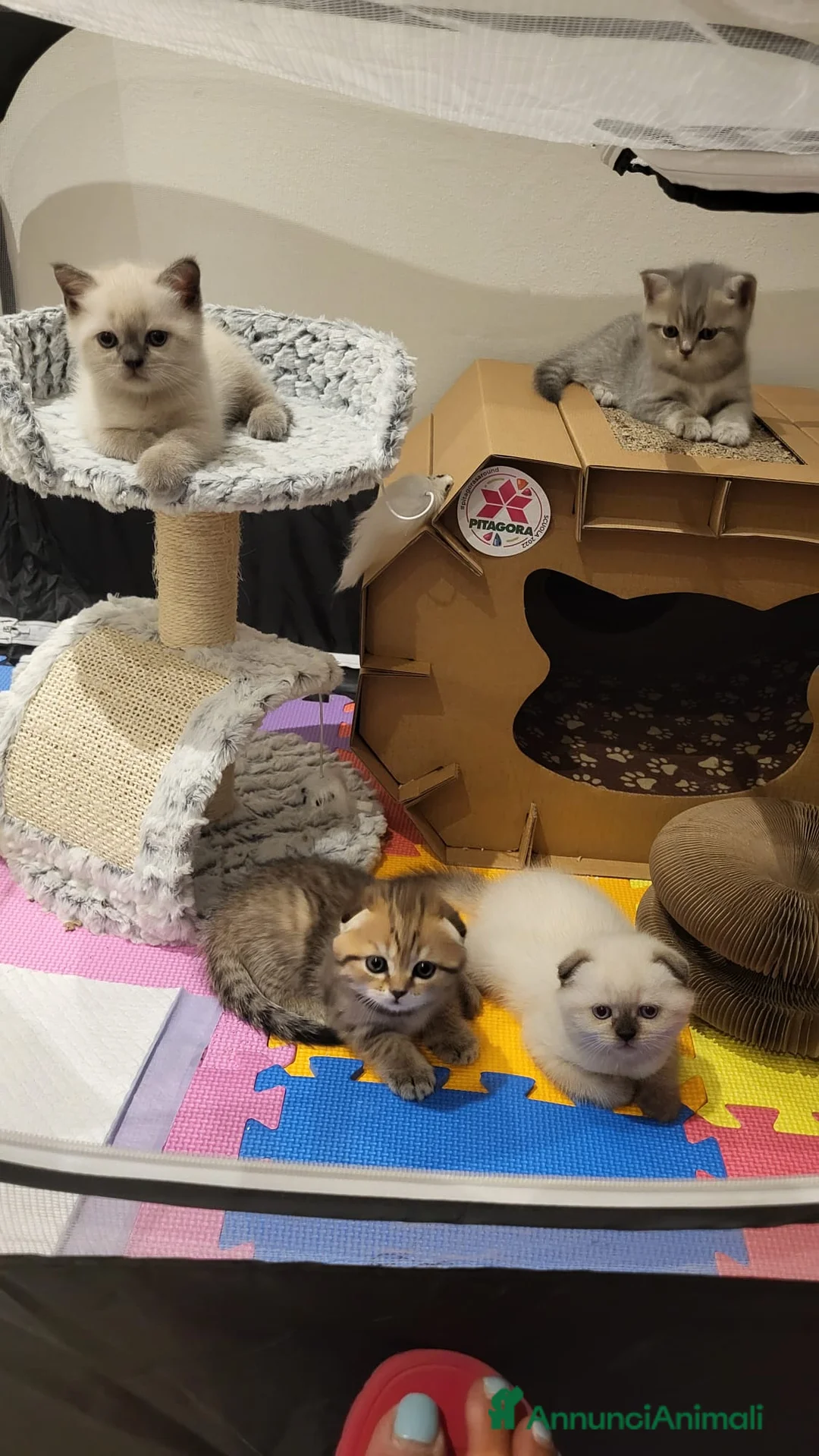 Immagine della galleria {{count}}