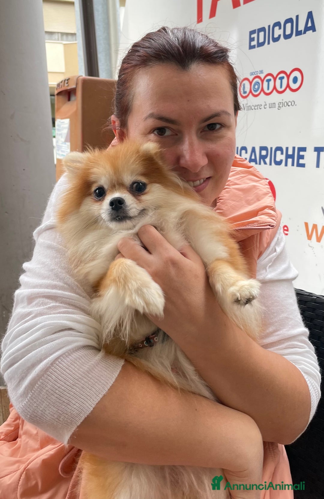 Immagine della galleria {{count}}