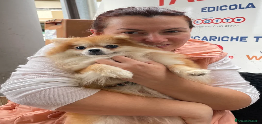 Immagine della galleria {{count}}