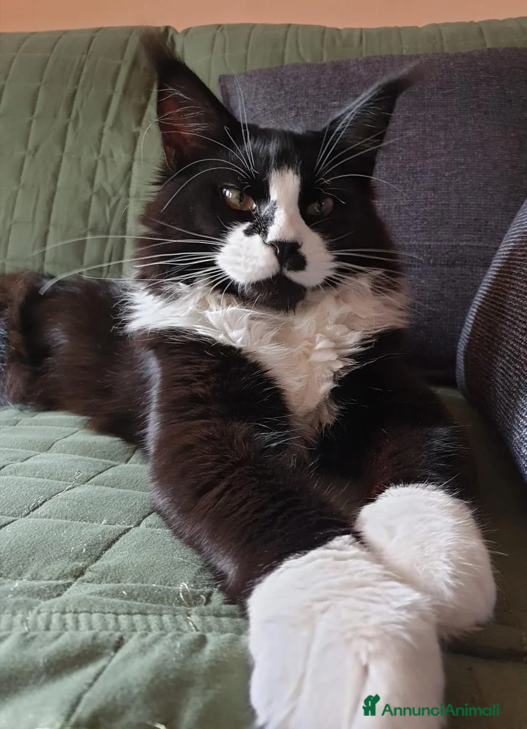 Immagine della galleria {{count}}