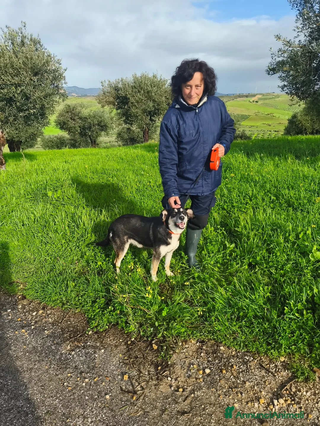 Altre razze cani in regalo: CASPER - Annuncio 4