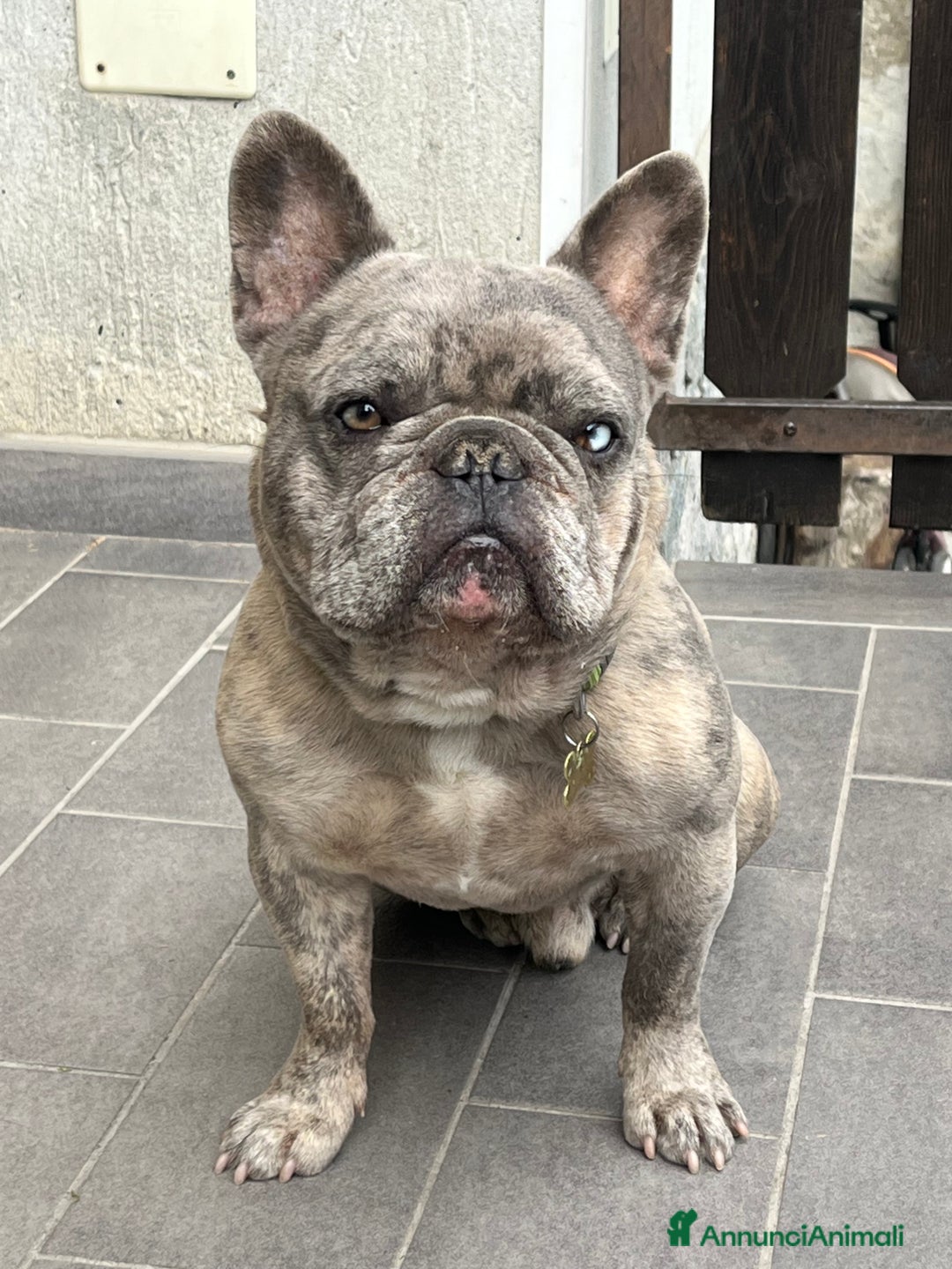 Immagine della galleria {{count}}