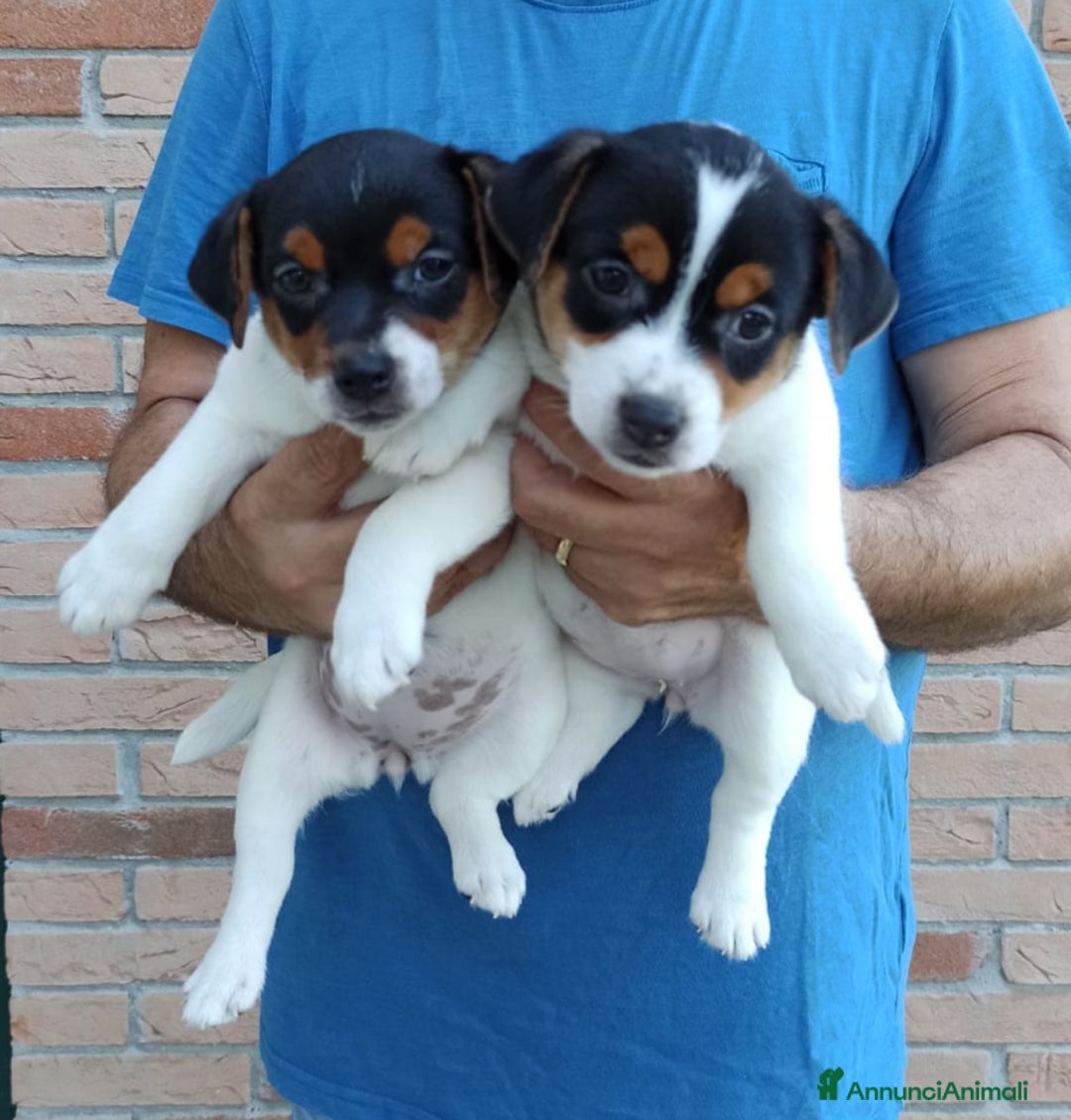 Immagine della galleria {{count}}