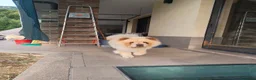 Chow Chow cani in vendita: Chow Chow - Annuncio 6