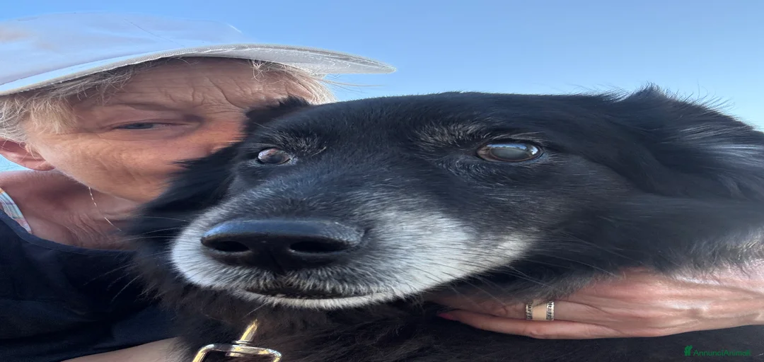 Immagine della galleria {{count}}