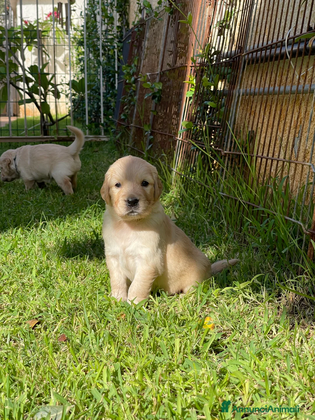 Immagine della galleria {{count}}