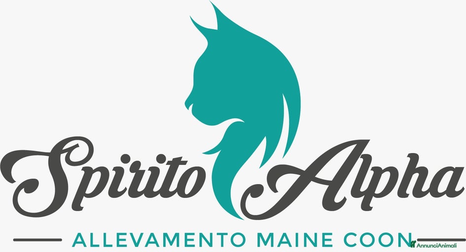 Immagine della galleria {{count}}