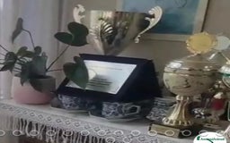 Pastore Tedesco cani in regalo:  proprietario regala splendidi cuccioli  - Annuncio 14