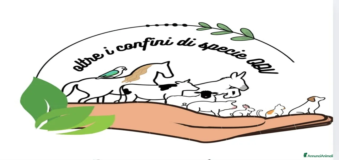 Immagine della galleria {{count}}