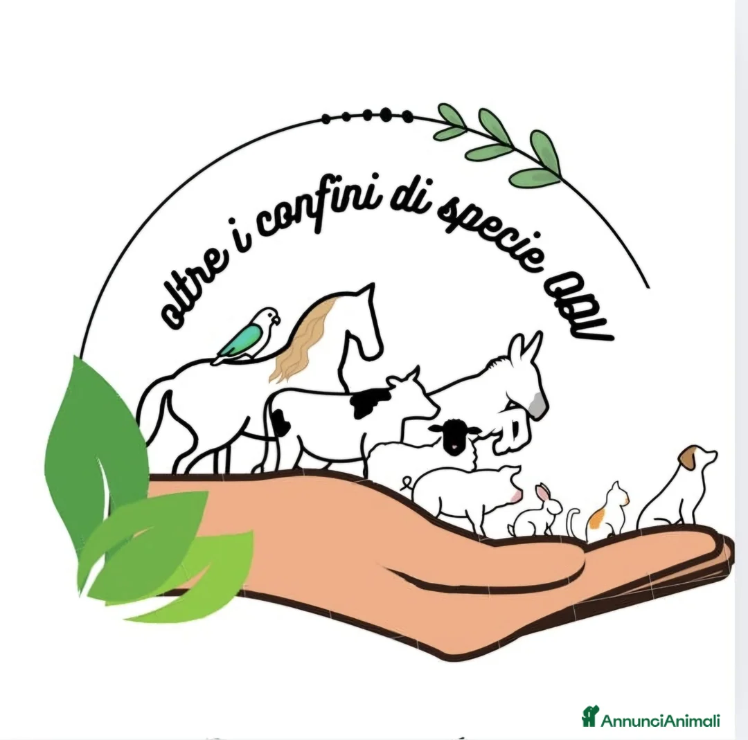 Immagine della galleria {{count}}