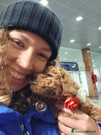 Immagine della galleria {{count}}