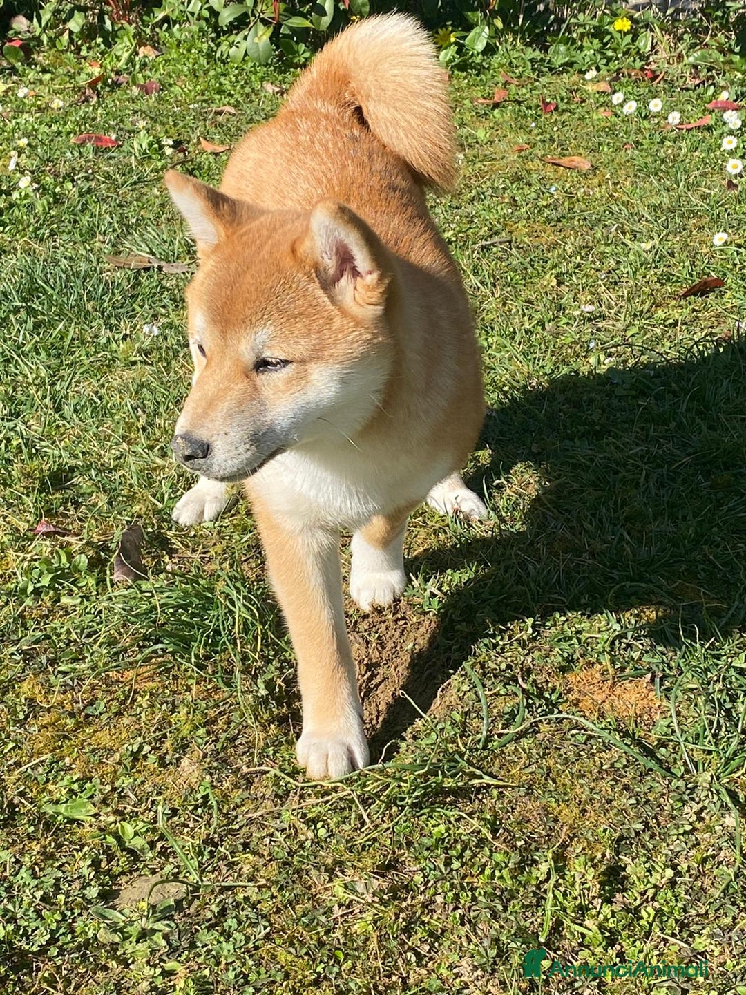 Immagine della galleria {{count}}