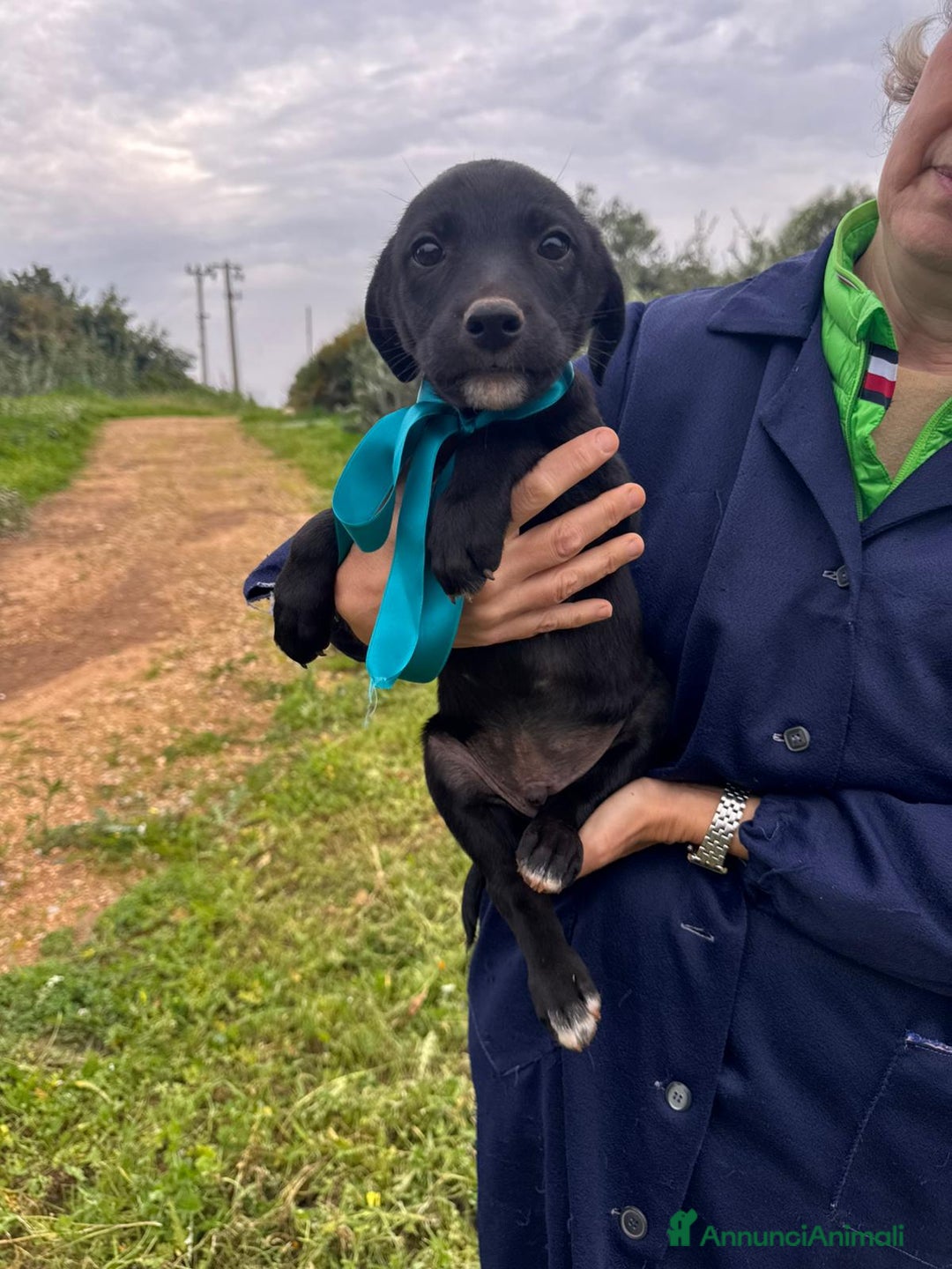 Altre razze cani in regalo: ELIDE, EDEN, ELIOT ED ERIK - Annuncio 5