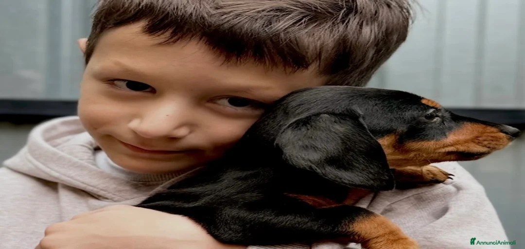 Immagine della galleria {{count}}