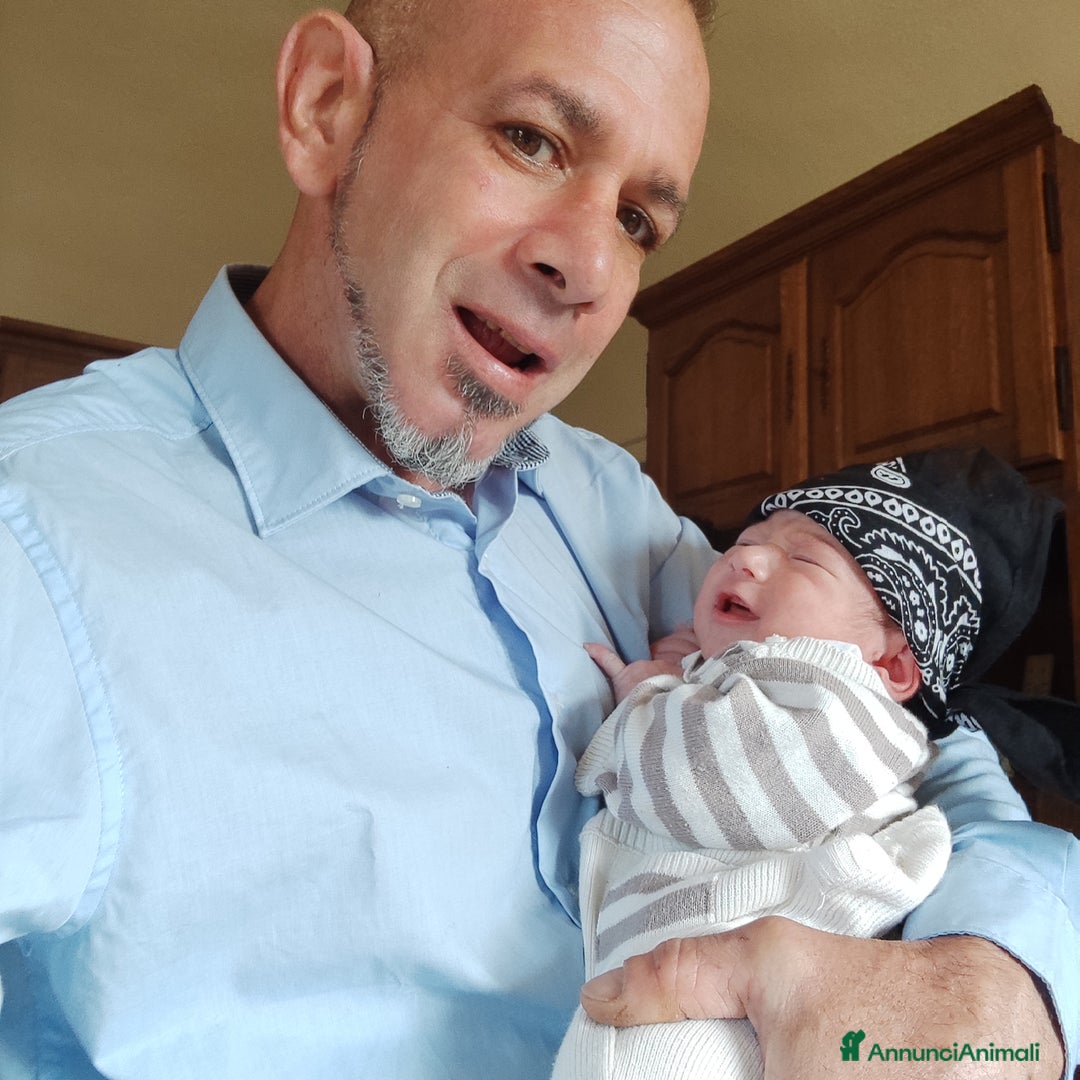 Immagine della galleria {{count}}